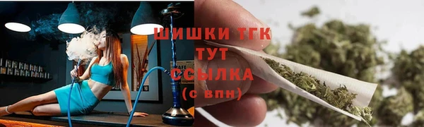 индика Бугульма